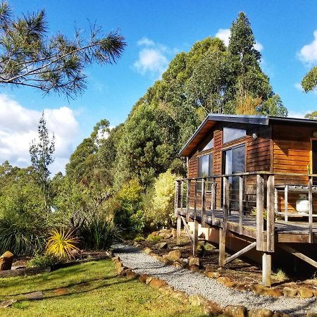 Southern Forest Accommodation Southport Exterior foto