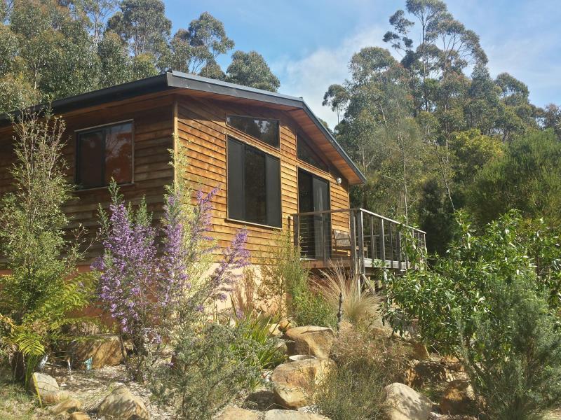 Southern Forest Accommodation Southport Exterior foto